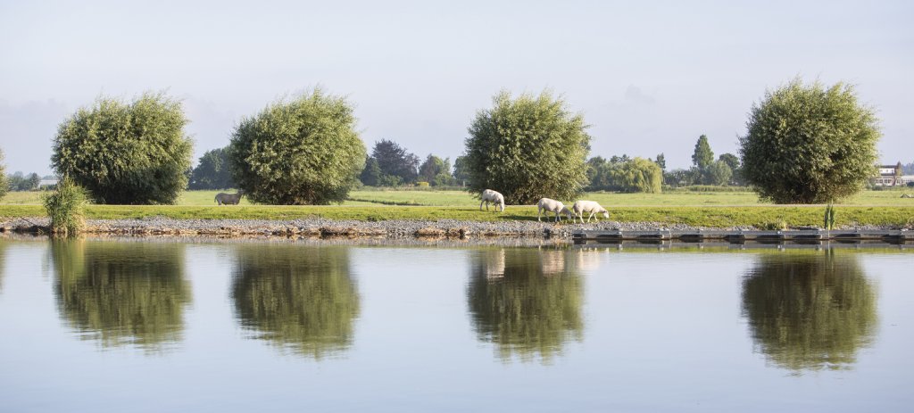 header_afbeelding_amstelland