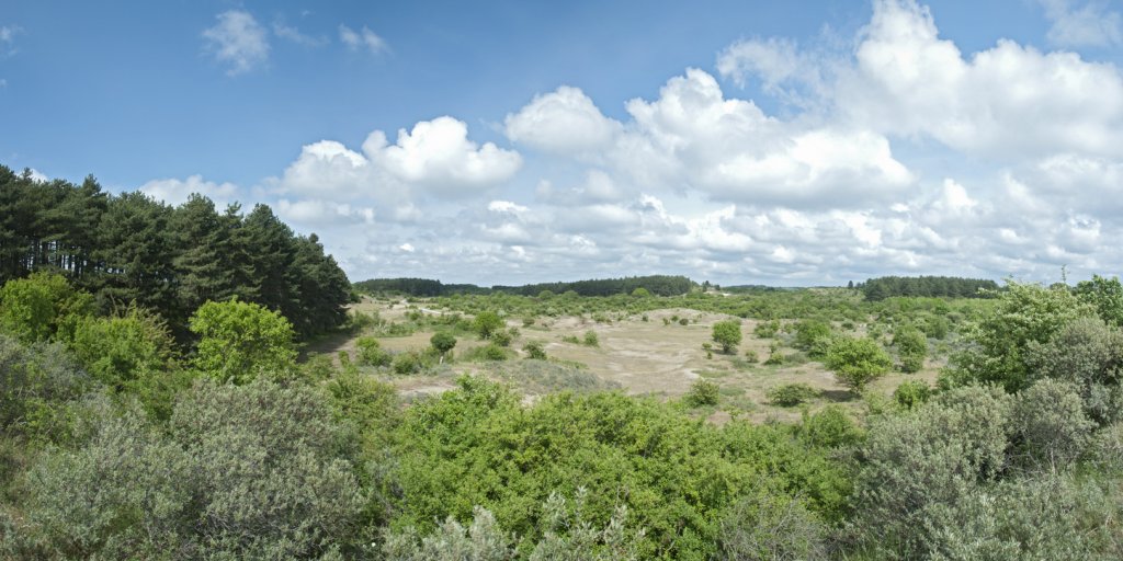header_afbeelding_kennemerland