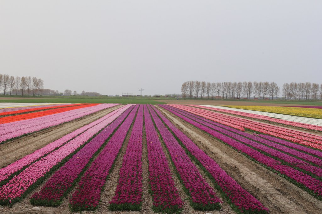 header_afbeelding_noord-holland_noord_300_dpi
