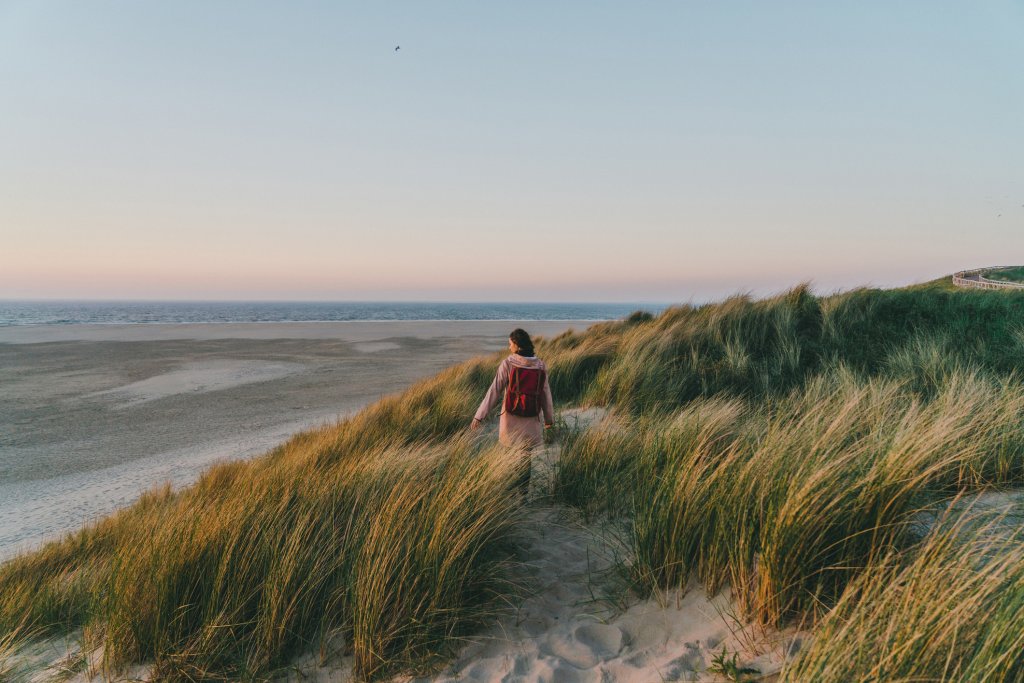 Kennemerland duinen