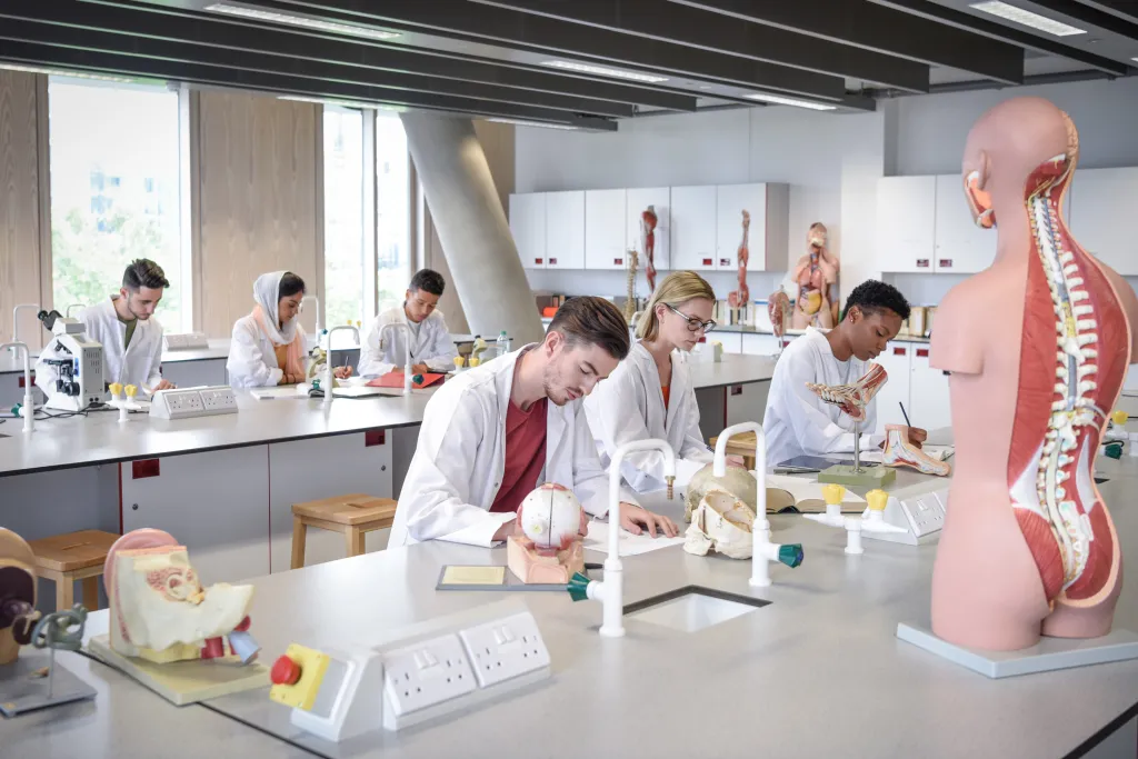 studenten-geneeskunde