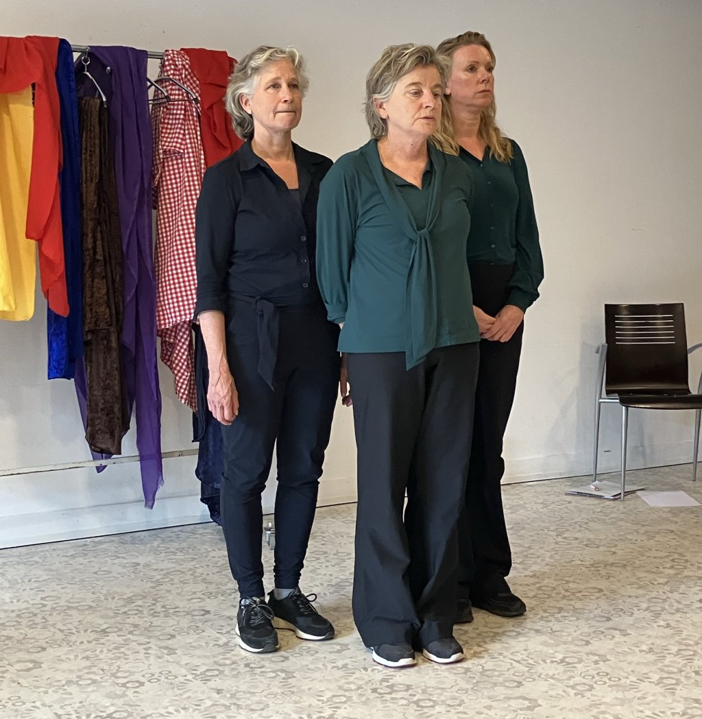 regiotheater De zaak in beweging tijdens themabijeenkomst Commissie Kindzorg
