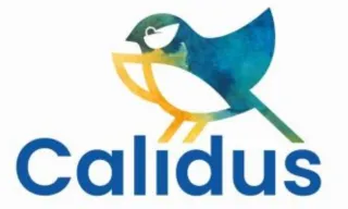 calidus